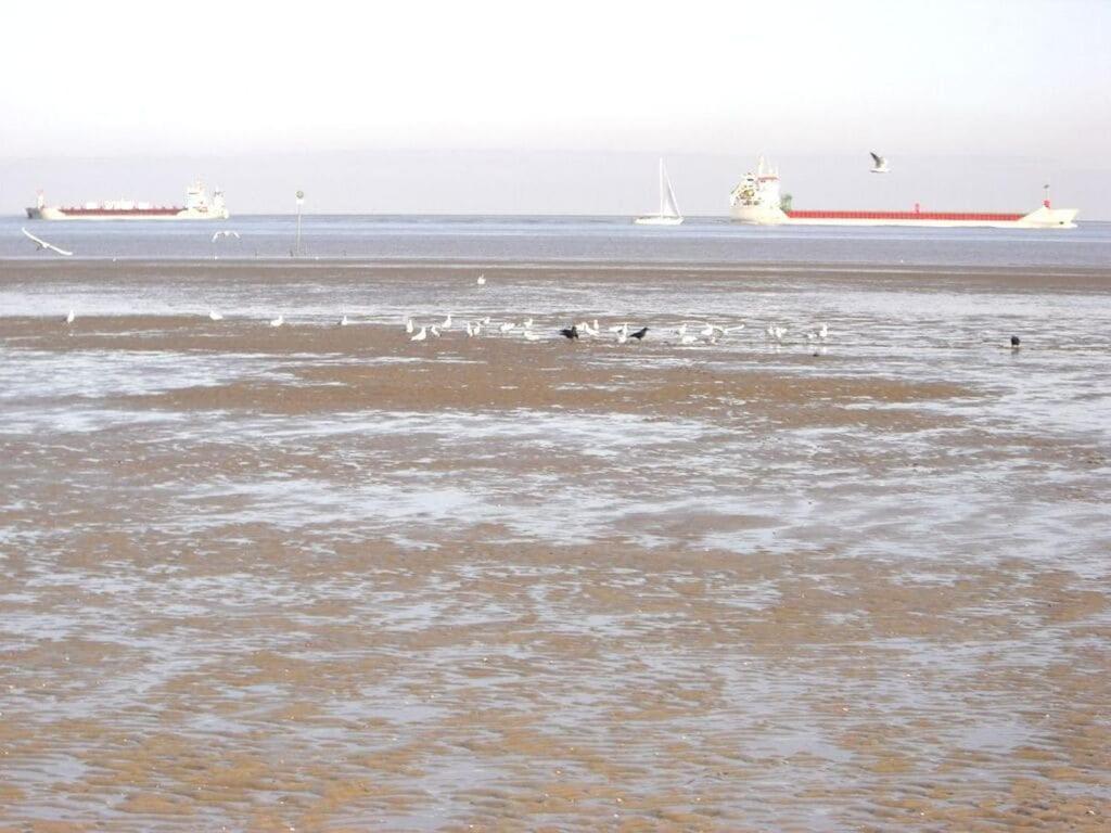 Seehund Comfortable Holiday Residence أوترندورف المظهر الخارجي الصورة